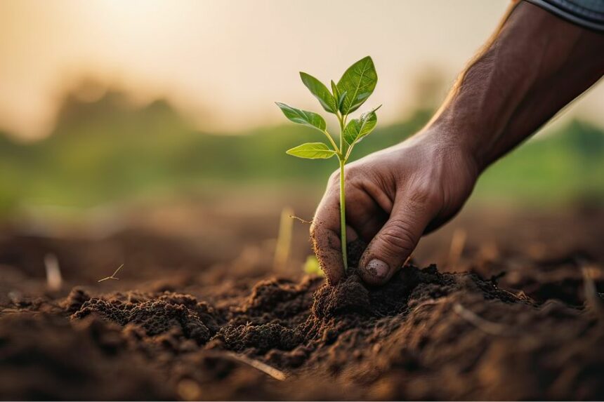 Durabilité agricole: un enjeu crucial